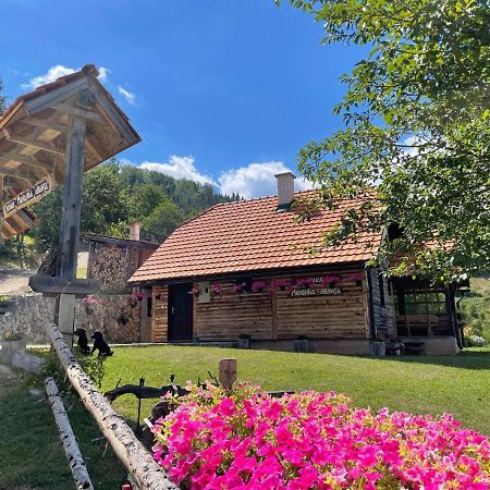 Konak Mandica Avlija Zaovine Екстериор снимка